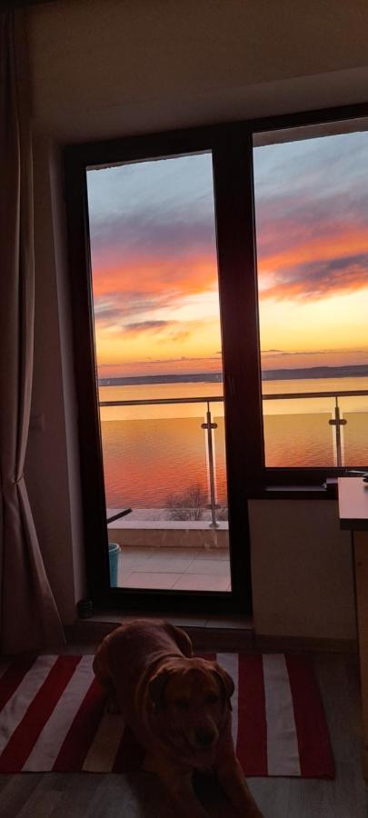 Bella Vista Summerland Mamaia Dış mekan fotoğraf